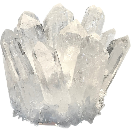 5 Inch Clear Quartz Phantom "Chlorite" Crystal