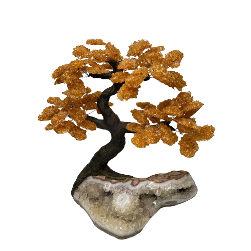 Genuine Citrine Clustered Gemstone Tree on Amethyst Matrix (The Money Tree)
