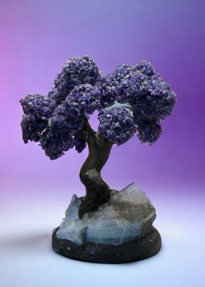 12.5 Inch Genuine Amethyst Tree (Clustered Gemstone Trees with faux bonsai tree trunk on Matrix)