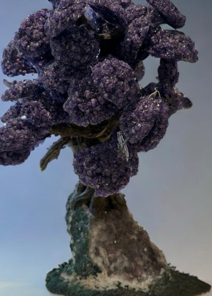 17.5 Inch Genuine Amethyst Tree (Clustered Gemstone Trees with faux bonsai tree trunk on Matrix)