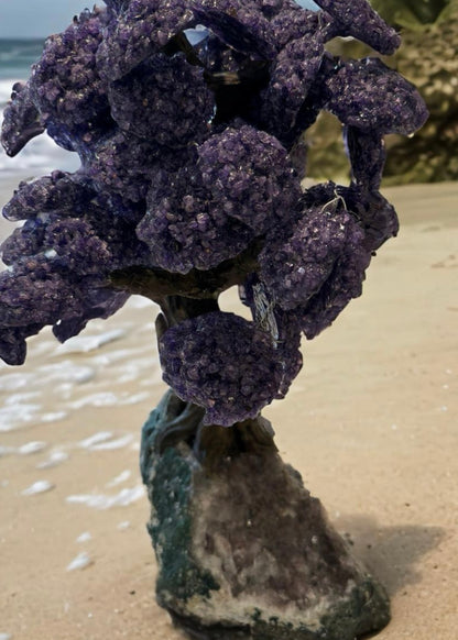 17.5 Inch Genuine Amethyst Tree (Clustered Gemstone Trees with faux bonsai tree trunk on Matrix)