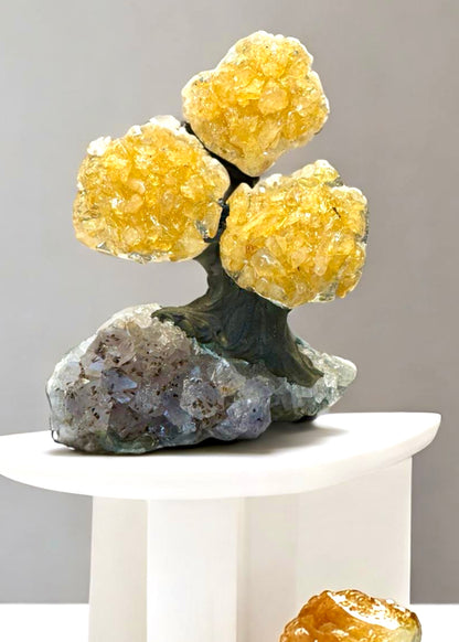4.0" Brazilian Citrine Gemstone Tree (Money Tree)