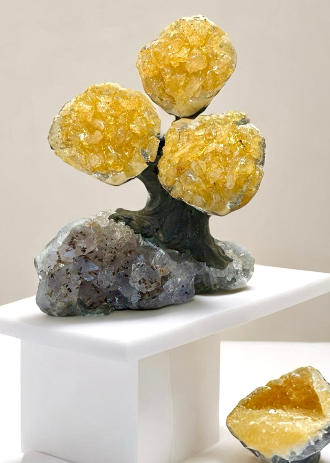 4.0" Brazilian Citrine Gemstone Tree (Money Tree)