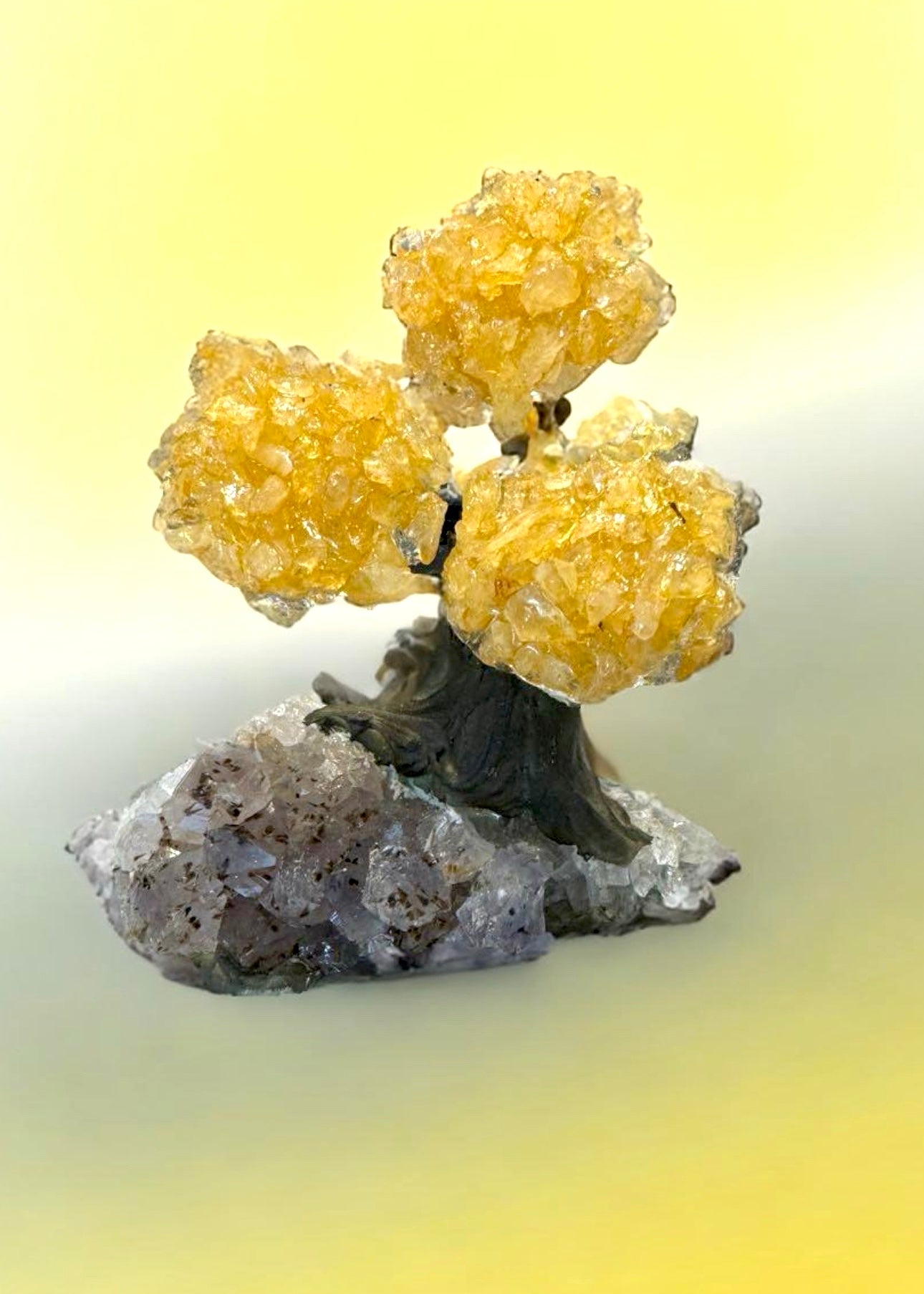 4.0" Brazilian Citrine Gemstone Tree (Money Tree)