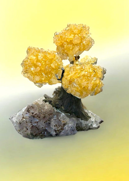 4.0" Brazilian Citrine Gemstone Tree (Money Tree)