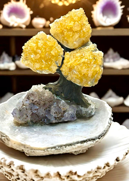 4.0" Brazilian Citrine Gemstone Tree (Money Tree)