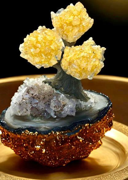 4.0" Brazilian Citrine Gemstone Tree (Money Tree)