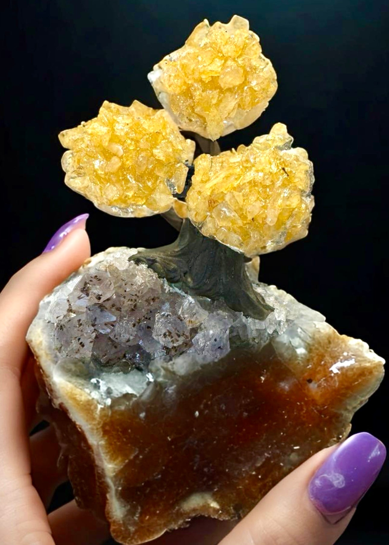 4.0" Brazilian Citrine Gemstone Tree (Money Tree)