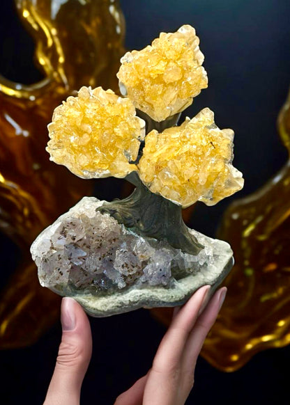 4.0" Brazilian Citrine Gemstone Tree (Money Tree)