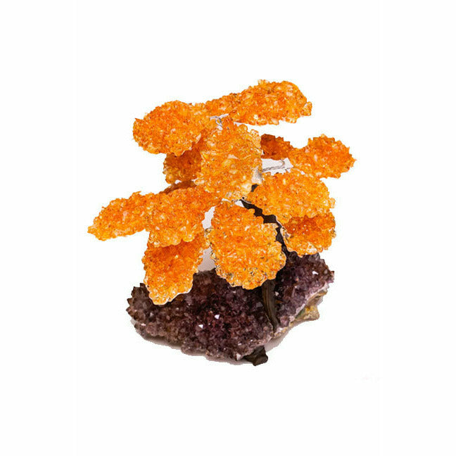 Genuine Citrine Clustered Gemstone Tree on Amethyst Matrix (The Money Tree)