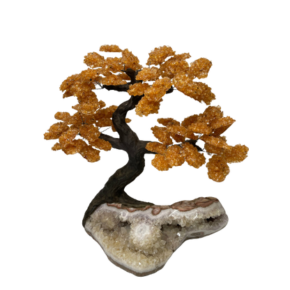 Genuine Citrine Clustered Gemstone Tree on Amethyst Matrix (The Money Tree)